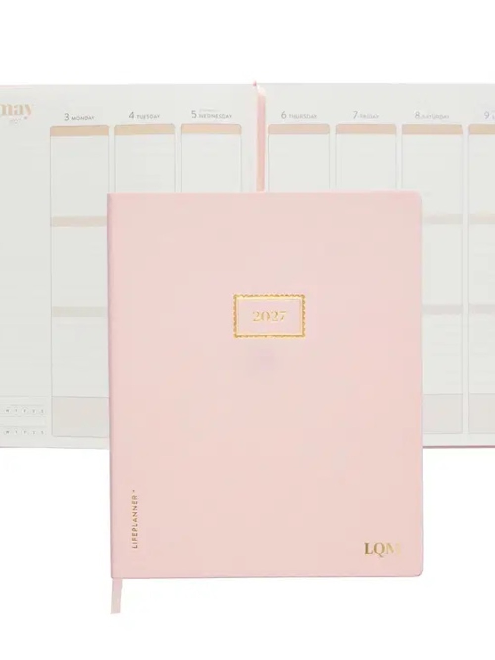 Erin Condren Softbound LifePlanner in Pale Pink with Gold Accent